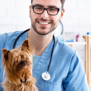 Plan de Salud Preventiva Canino/Felino